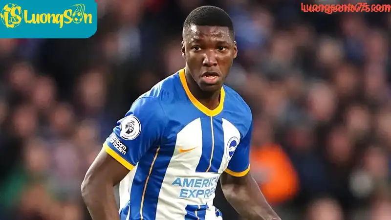 Moises Caicedo trong màu áo của Brighton