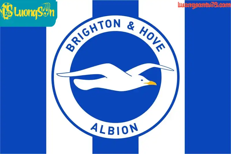 tong quan ve brighton